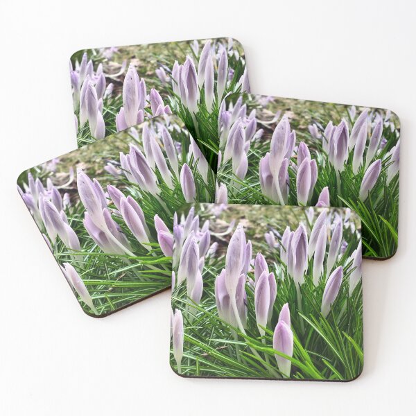 Item preview, Early spring in Poland - violet crocuses designed and sold by lusiakotowska.