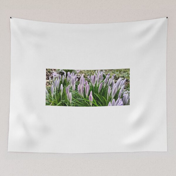 Item preview, Early spring in Poland - violet crocuses designed and sold by lusiakotowska.