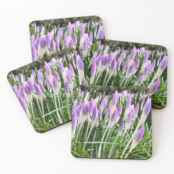 Item preview, Early spring in Poland - violet crocuses designed and sold by lusiakotowska.