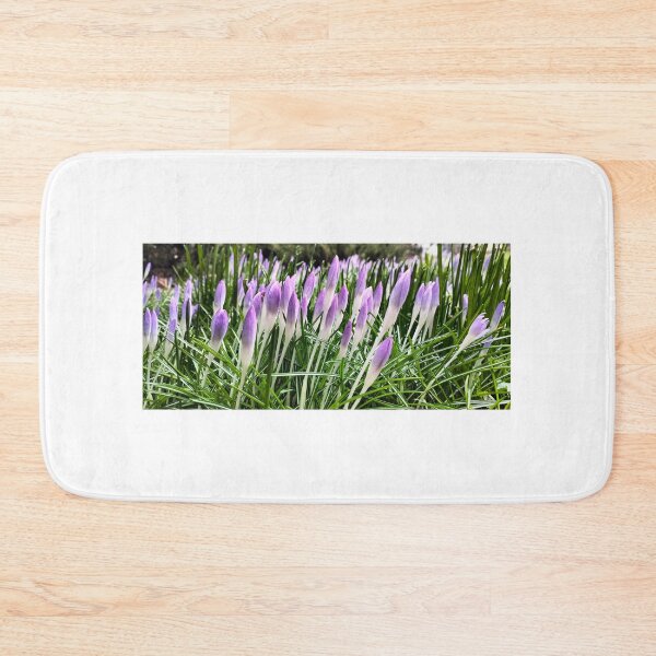 Artikelvorschau, Vorfrühling in Polen - violette Krokusse entworfen und verkauft von lusiakotowska.