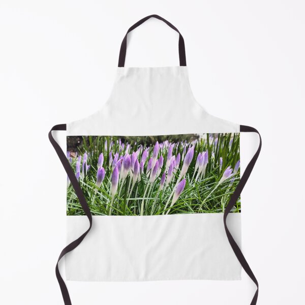 Item preview, Early spring in Poland - violet crocuses designed and sold by lusiakotowska.