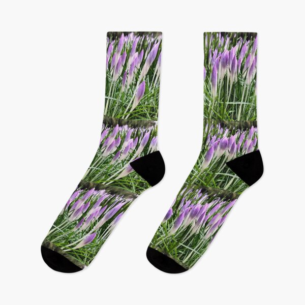 Item preview, Early spring in Poland - violet crocuses designed and sold by lusiakotowska.