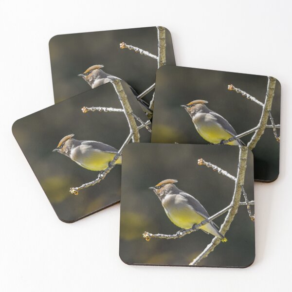 Item preview, Cedar Waxwing - Original Photograph designed and sold by alpendesigns.