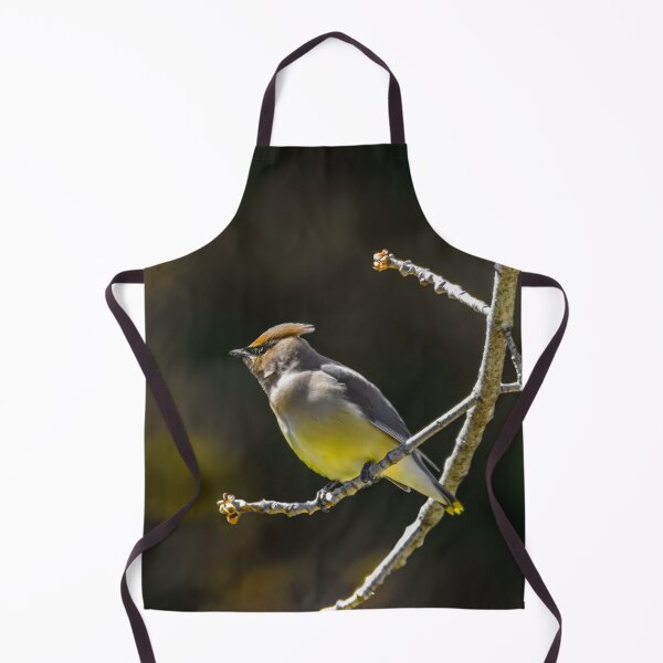 Item preview, Cedar Waxwing - Original Photograph designed and sold by alpendesigns.