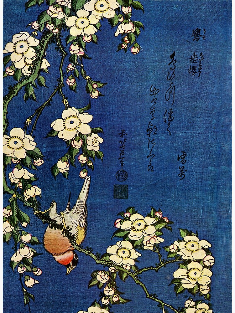 Bullfinch and Drooping Cherry by Katsushika Hokusai (Reproduction) by RozAbellera