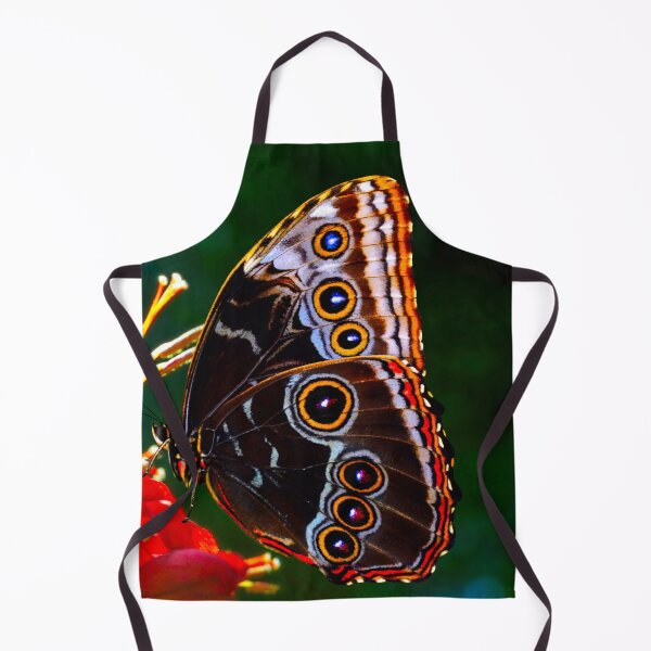 Item preview, Blue morpho butterfly pollinating on Crocosmia 'Lucifer' flowers designed and sold by Peter Etchells.