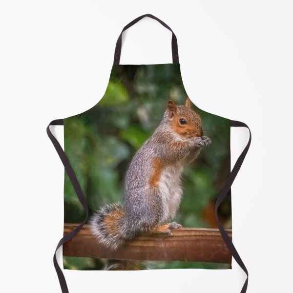Item preview, Cyril the Squirrel designed and sold by AJEvans.