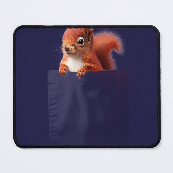 Item preview, Adventurous Nutkin in a Pocket. Pet Series designed and sold by leyfinder.