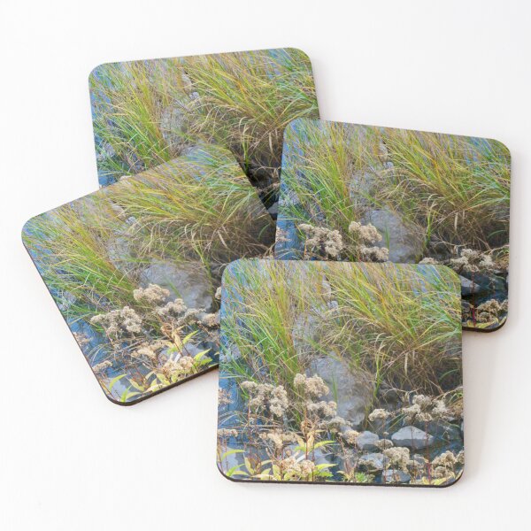 Item preview, reeds and rocks in the Rideau river designed and sold by Shulie1.