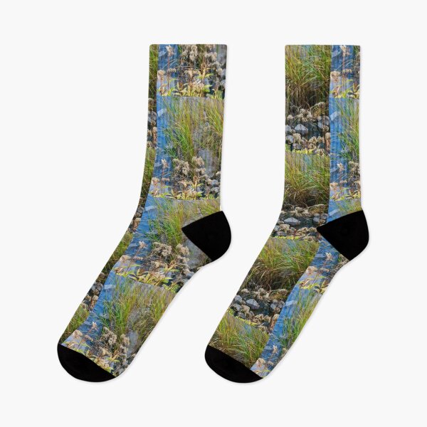 Item preview, reeds and rocks in the Rideau river designed and sold by Shulie1.
