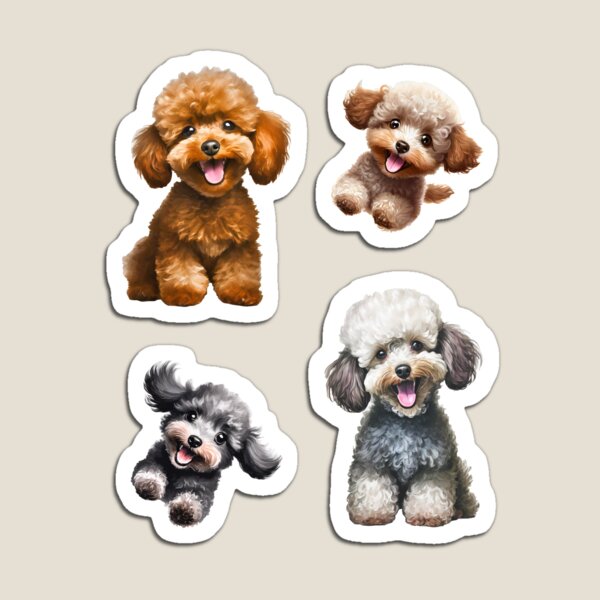 Item preview, Paw-some Poodle, The 3rd! designed and sold by quoting.