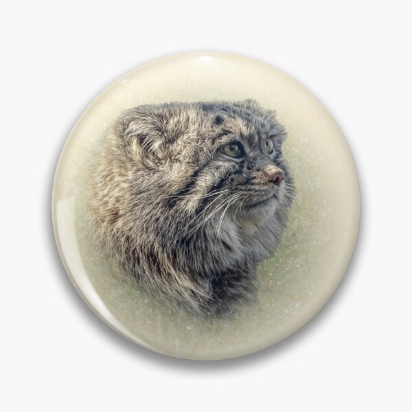 Item preview, Manul-Pallas's cat designed and sold by Guardi71.
