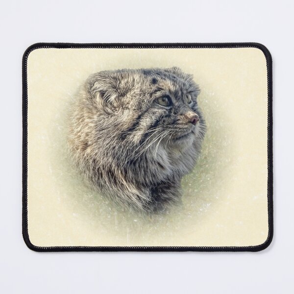 Item preview, Manul-Pallas's cat designed and sold by Guardi71.