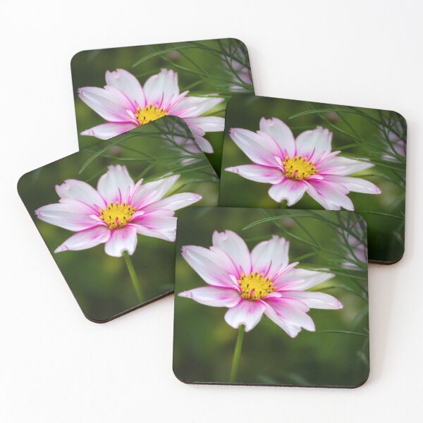 Item preview, pink blooming cosmos flower photo designed and sold by rhnaturestyles.