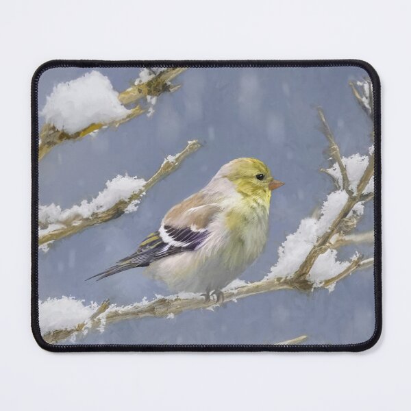 Item preview, American Goldfinch in WInter designed and sold by alpendesigns.