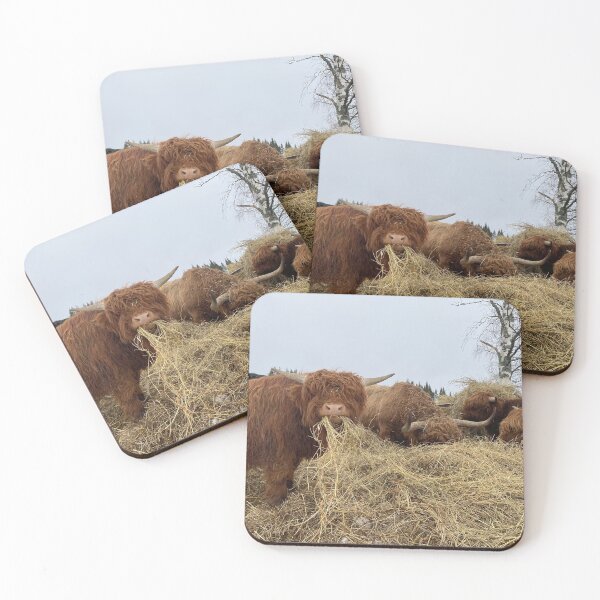 Item preview, Scottish Highland Cattle Bulls 4767 designed and sold by SaarelaHighland.