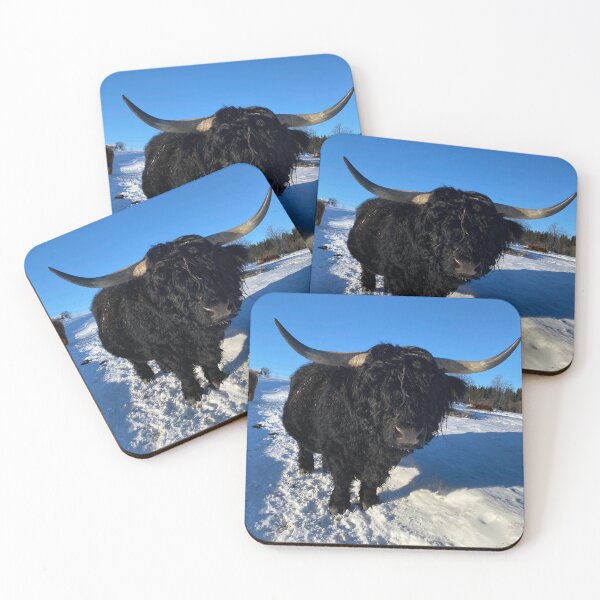 Item preview, Scottish Highland Cattle Bull 4770 designed and sold by SaarelaHighland.