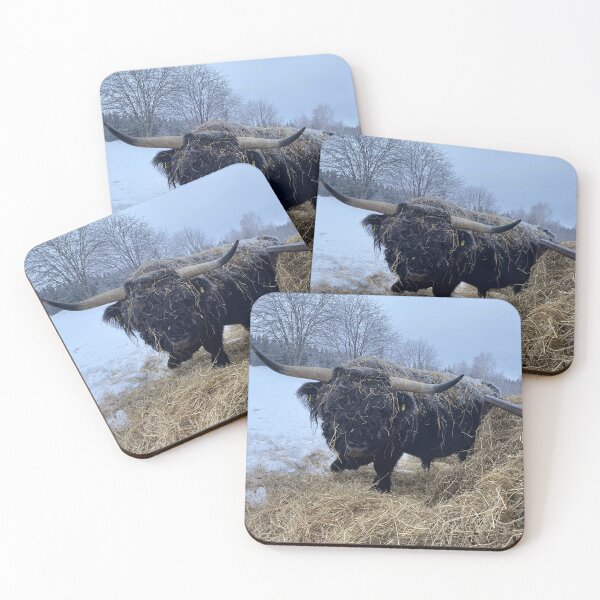 Item preview, Scottish Highland Cattle Bull 4783 designed and sold by SaarelaHighland.