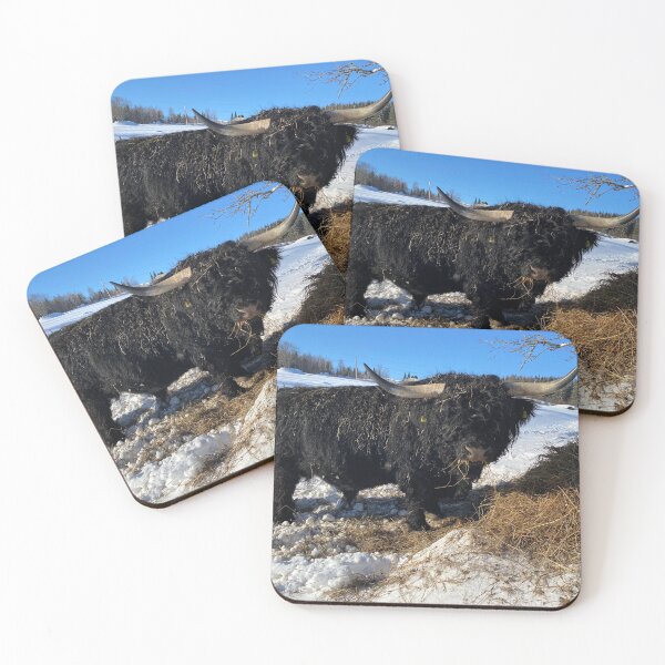 Item preview, Scottish Highland Cattle Bull 4787 designed and sold by SaarelaHighland.