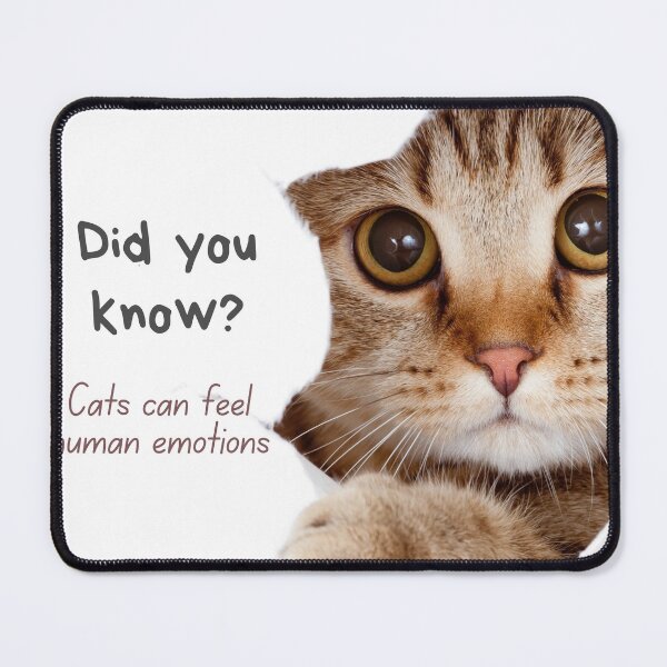 Item preview, Information about cats, did you know designed and sold by Happy colors shop.