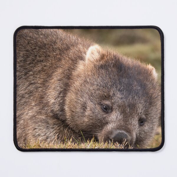 Item preview, Womat Feeding on Buttongrass designed and sold by Images by Chris de Blank.