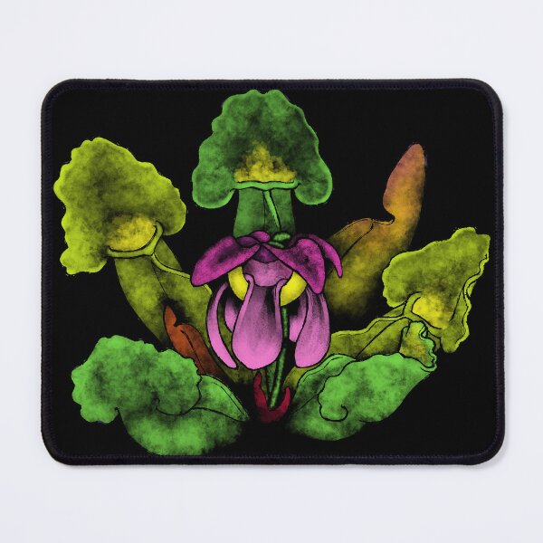 Item preview, Sarracenia Rosea Sketch designed and sold by Tippitiwichet.