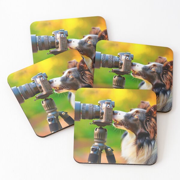 Item preview, Change of Focus designed and sold by ScenicViewPics.