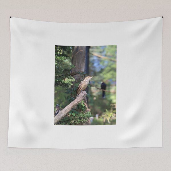Item preview, Guira Cuckoo designed and sold by TheRealDanniX.