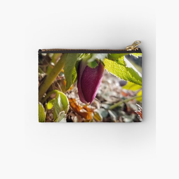 Item preview, Fresh Spring Hellebore designed and sold by bjtomiko.