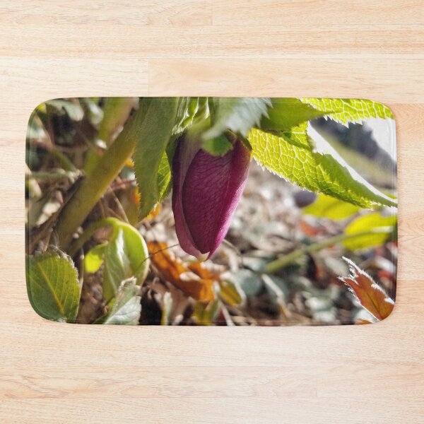 Item preview, Fresh Spring Hellebore designed and sold by bjtomiko.