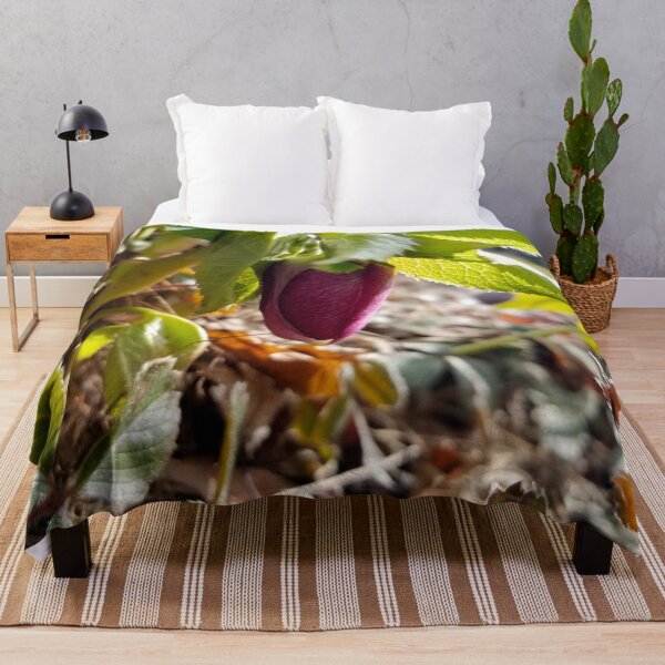 Item preview, Fresh Spring Hellebore designed and sold by bjtomiko.