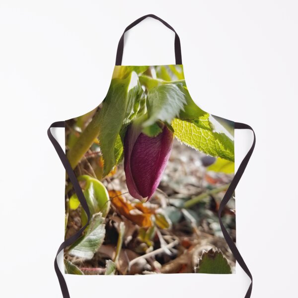 Item preview, Fresh Spring Hellebore designed and sold by bjtomiko.