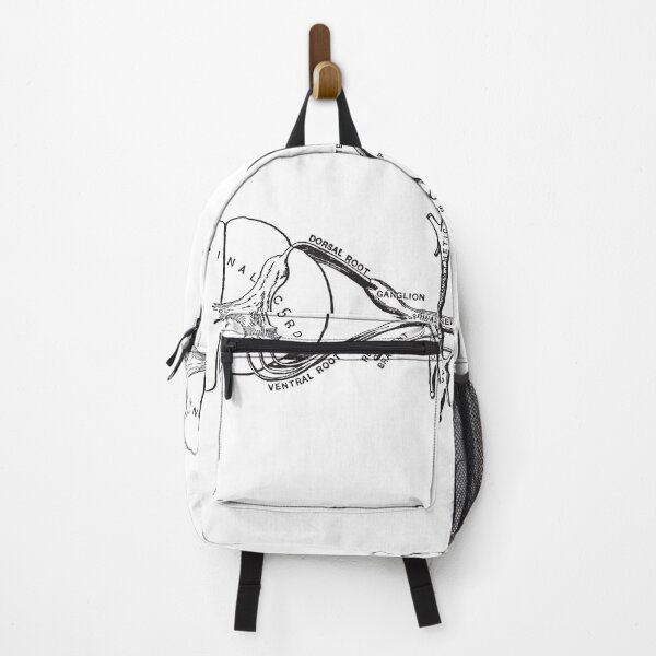 Item preview, Spinal Cord Illustration designed and sold by STEM-women.