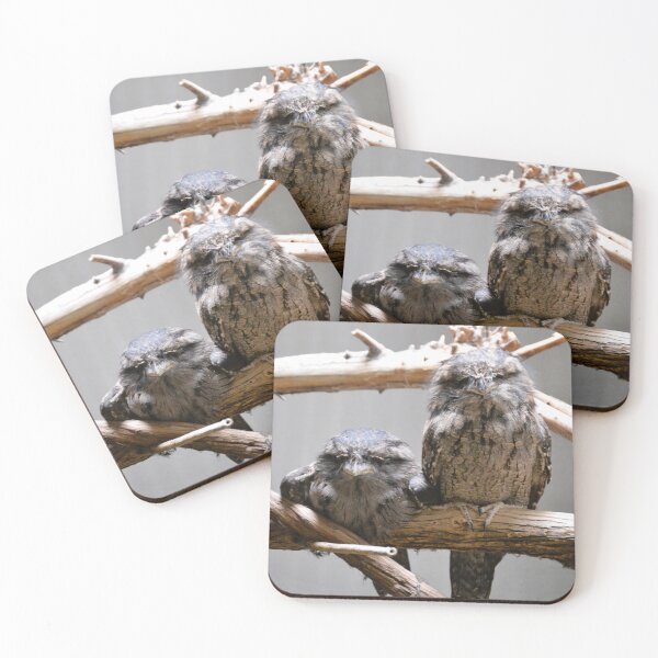 Item preview, Frogmouth Owls designed and sold by Dacia Tomnitz.