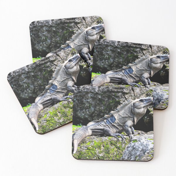 Item preview, Sunny Pause of a Mexican Lizard Waiting for its Feast designed and sold by franck380.