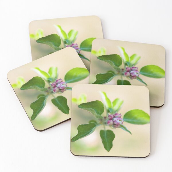 Item preview, Apple Blossom | 1 designed and sold by Loah-Store.