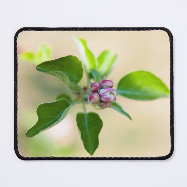 Item preview, Apple Blossom | 1 designed and sold by Loah-Store.