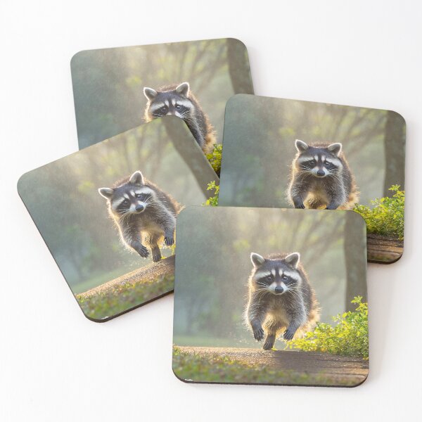 Item preview, Racoon is running on the trails designed and sold by YujunShop.