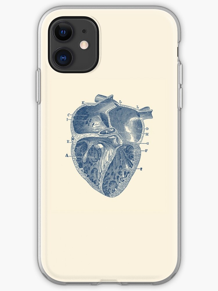 Inneres Herz Diagramm Weinlese Anatomie Iphone Hulle Cover Von Vaposters Redbubble