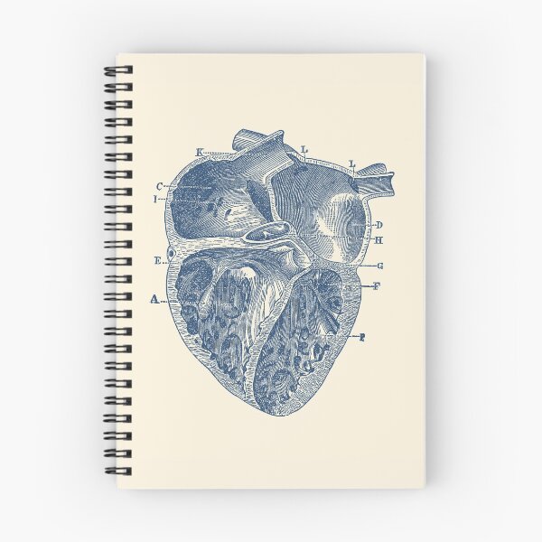 Item preview, Inner Heart Diagram - Vintage Anatomy designed and sold by VAposters.