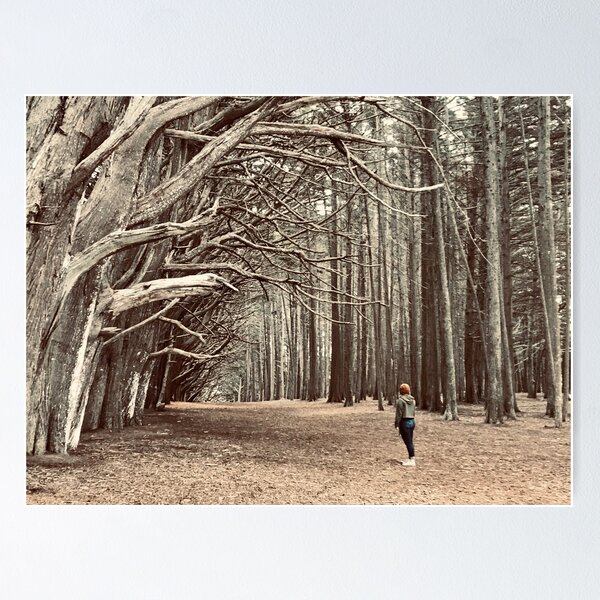Item preview, The Trees Outside of Half Moon Bay  designed and sold by Bryn K Cole.