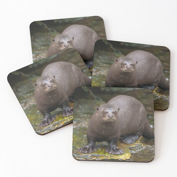 Item preview, Giant Otter's Footprints designed and sold by rawshutterbug.