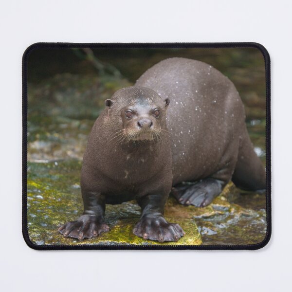 Item preview, Giant Otter's Footprints designed and sold by rawshutterbug.