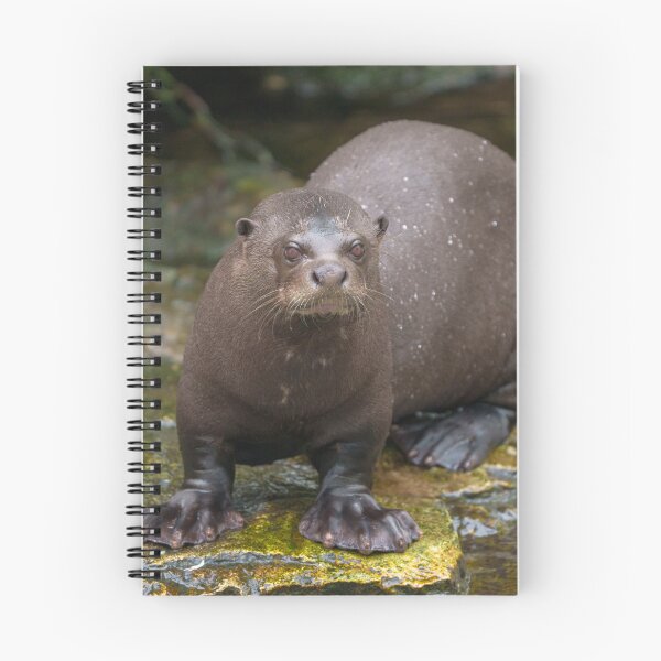 Item preview, Giant Otter's Footprints designed and sold by rawshutterbug.