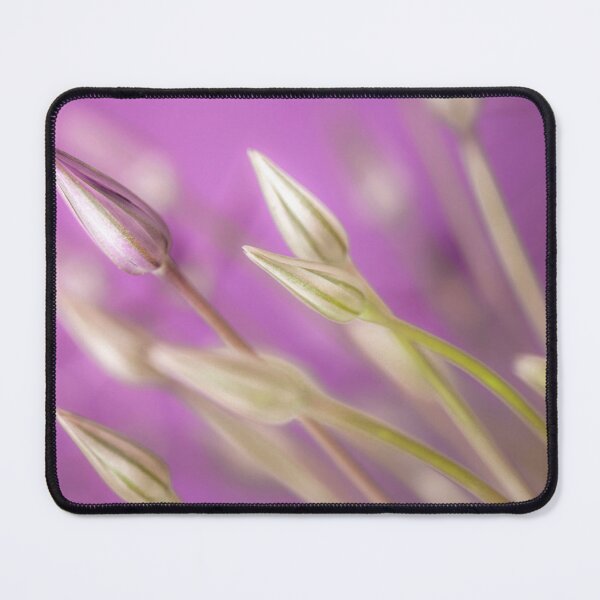Item preview, Purple Alliums designed and sold by assaf.