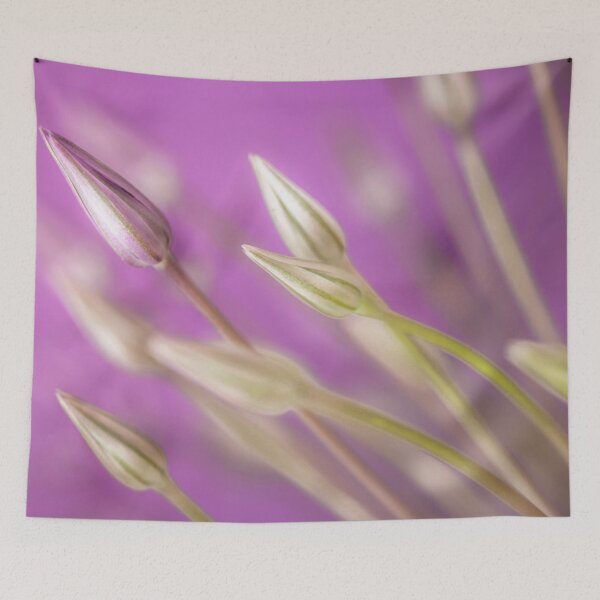 Item preview, Purple Alliums designed and sold by assaf.