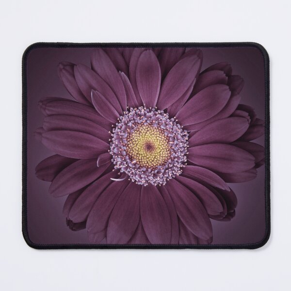 Item preview, Gerbera daisy designed and sold by assaf.