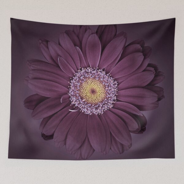 Item preview, Gerbera daisy designed and sold by assaf.