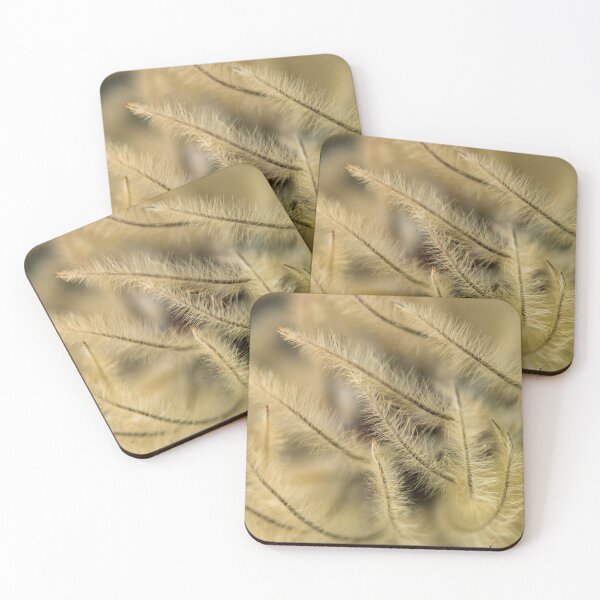 Item preview, Clematis flower seeds designed and sold by assaf.