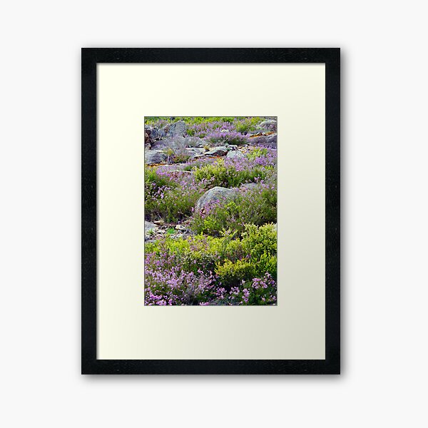 Alpine Garden Framed Art Print